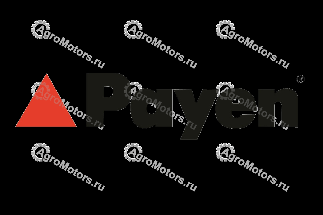 PAYEN