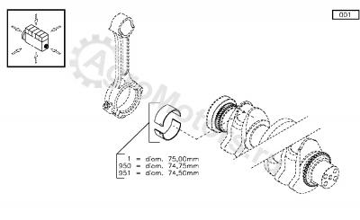 F934201310050 Вкладыш шатунный Вид 1