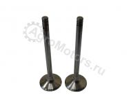 040520101301 Выпускной клапан