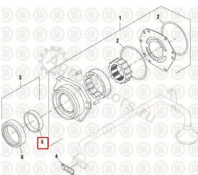 NAV1827174C1 Кольцо Вид 1