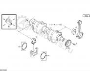 04231058 Вкладыш шатунный