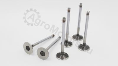 861571-6 Клапан выпускной Вид 1