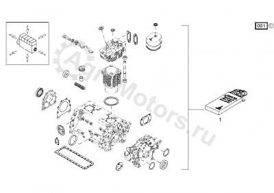F100002911535 Комплект прокладок двигателя Вид 1