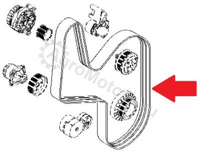 01183383 ПОЛИКЛИНОВ.РЕМЕНЬ Вид 1 01183383 ПОЛИКЛИНОВ.РЕМЕНЬ Вид 1