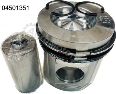 04501351 Поршень в сборе (поршневые кольца, палец, стопор) Вид 1