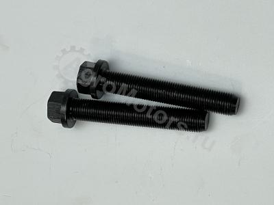 7420459133 Болт шатунный Вид 1