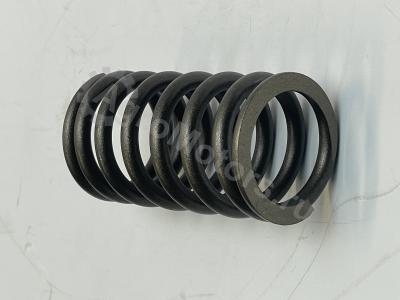 04200150 Пружина клапана Вид 4