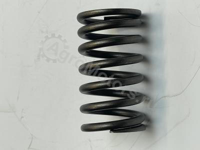 04200150 Пружина клапана Вид 5