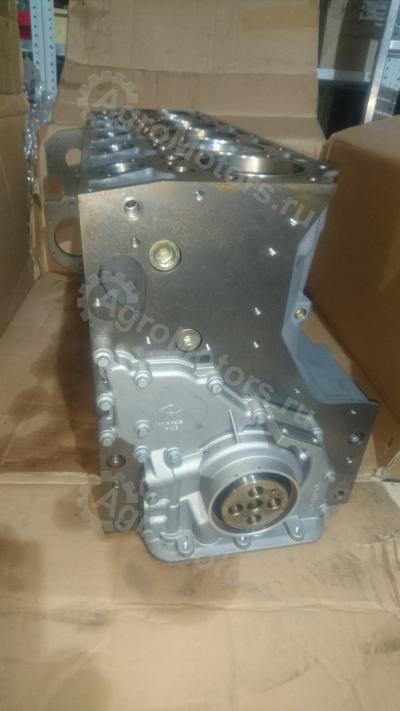 04282826 Шорт Блок BF6M1013FC Вид 4