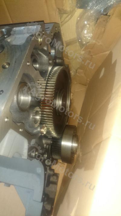 04282826 Шорт Блок BF6M1013FC Вид 5