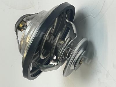 04224847 Термостат Вид 1