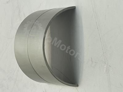 6005024387 Вкладыш шатунный Вид 1