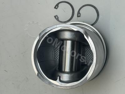 F119200310010 Поршень (кольца, стопор, палец) Вид 1