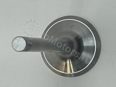 04280048 Впускной клапан Вид 3 04280048 Впускной клапан Вид 3