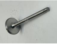 04280048 Впускной клапан