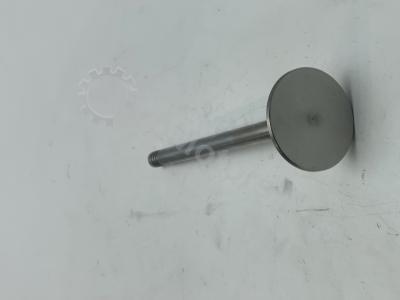 04283381 Клапан выпускной Вид 3