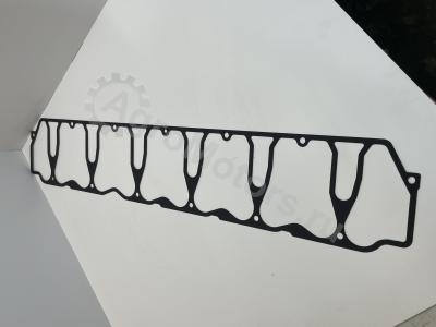 6005030094 Прокладка клапанной крышки Вид 1