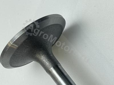 04284042 Клапан впускной Вид 4