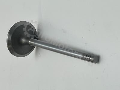 04284042 Клапан впускной Вид 5