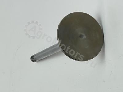 04285985 Клапан впускной Вид 6