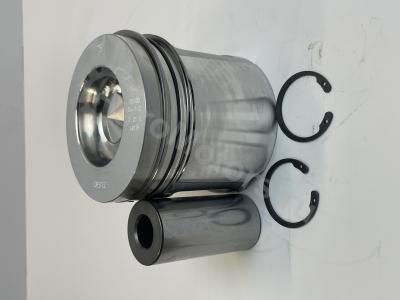 04501351 Поршень в сборе (поршневые кольца, палец, стопор) Вид 4