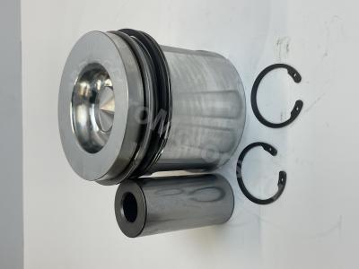 04501351 Поршень в сборе (поршневые кольца, палец, стопор) Вид 5