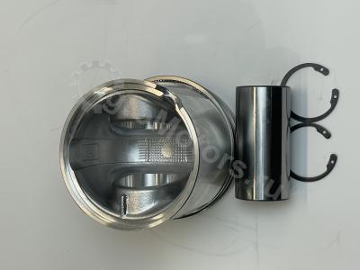 04501351 Поршень в сборе (поршневые кольца, палец, стопор) Вид 7