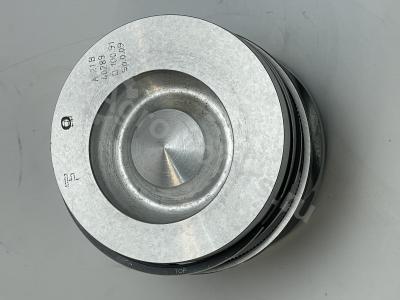 04501366 Поршень в сборе (поршневые кольца, палец, стопор) Вид 7