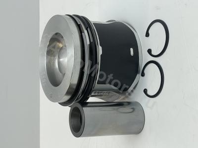 04501366 Поршень в сборе (поршневые кольца, палец, стопор) Вид 8