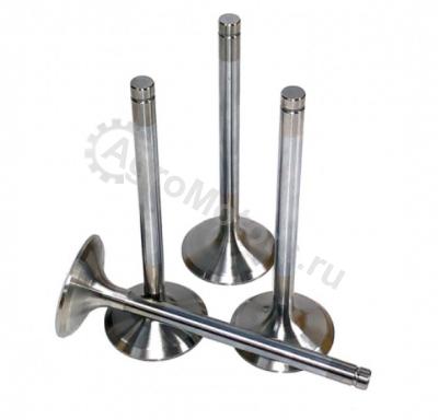 10136752 Впускной клапан (Аналог) Вид 1