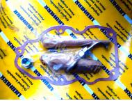 10124950 Ремкомплект Форсунки