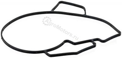 704880 Прокладка, водяной насос Вид 1