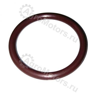 10294497 УПЛОТНИТЕЛЬНОЕ КОЛЬЦО Вид 1