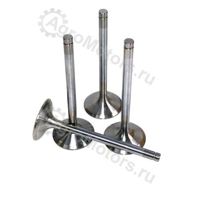 10120987 ВПУСКНОЙ КЛАПАН Вид 1 10120987 ВПУСКНОЙ КЛАПАН Вид 1