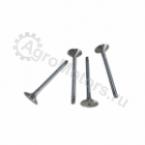 04170899 Клапан выпускной