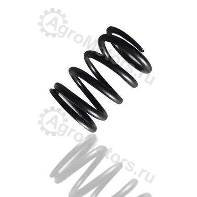 04179633 Пружина клапана Вид 1