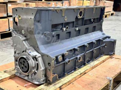 04282826 Шорт Блок BF6M1013FC Вид 11