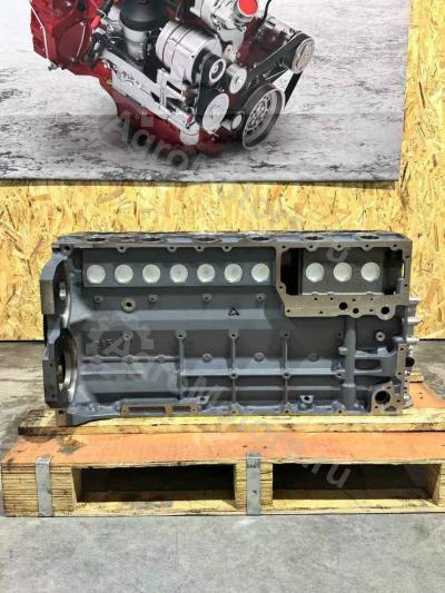 04282826 Шорт Блок BF6M1013FC Вид 12