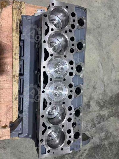 04282826 Шорт Блок BF6M1013FC Вид 14