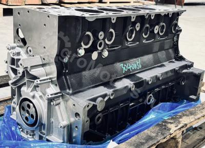 04600336 Шорт  Блок TCD 6.1 Вид 1