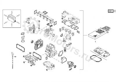 F119200210290 Комплект прокладок двигателя Вид 1